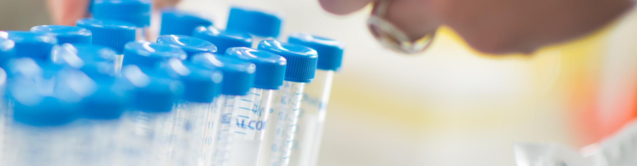 Hoe de HR-module het personeelsbeheer bij IRC stroomlijnt voor meer dan 350 onderzoekers